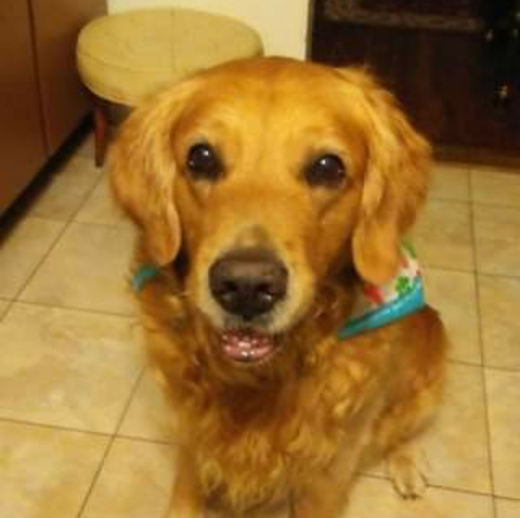 Meet your Posher, Aylin - Picture 4 of 4